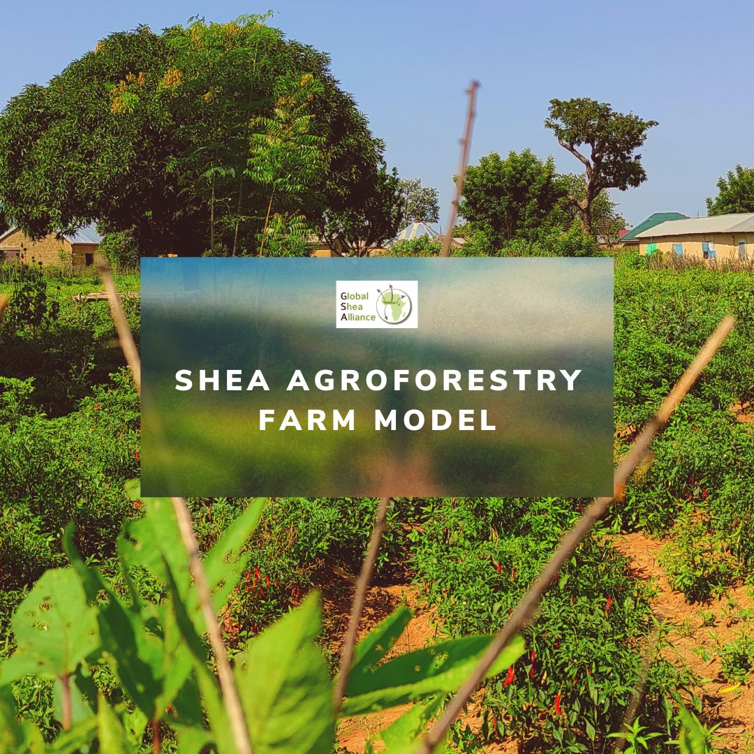A Nature Based Solution to Climate Change Adaptation in Sub Sahara Africa