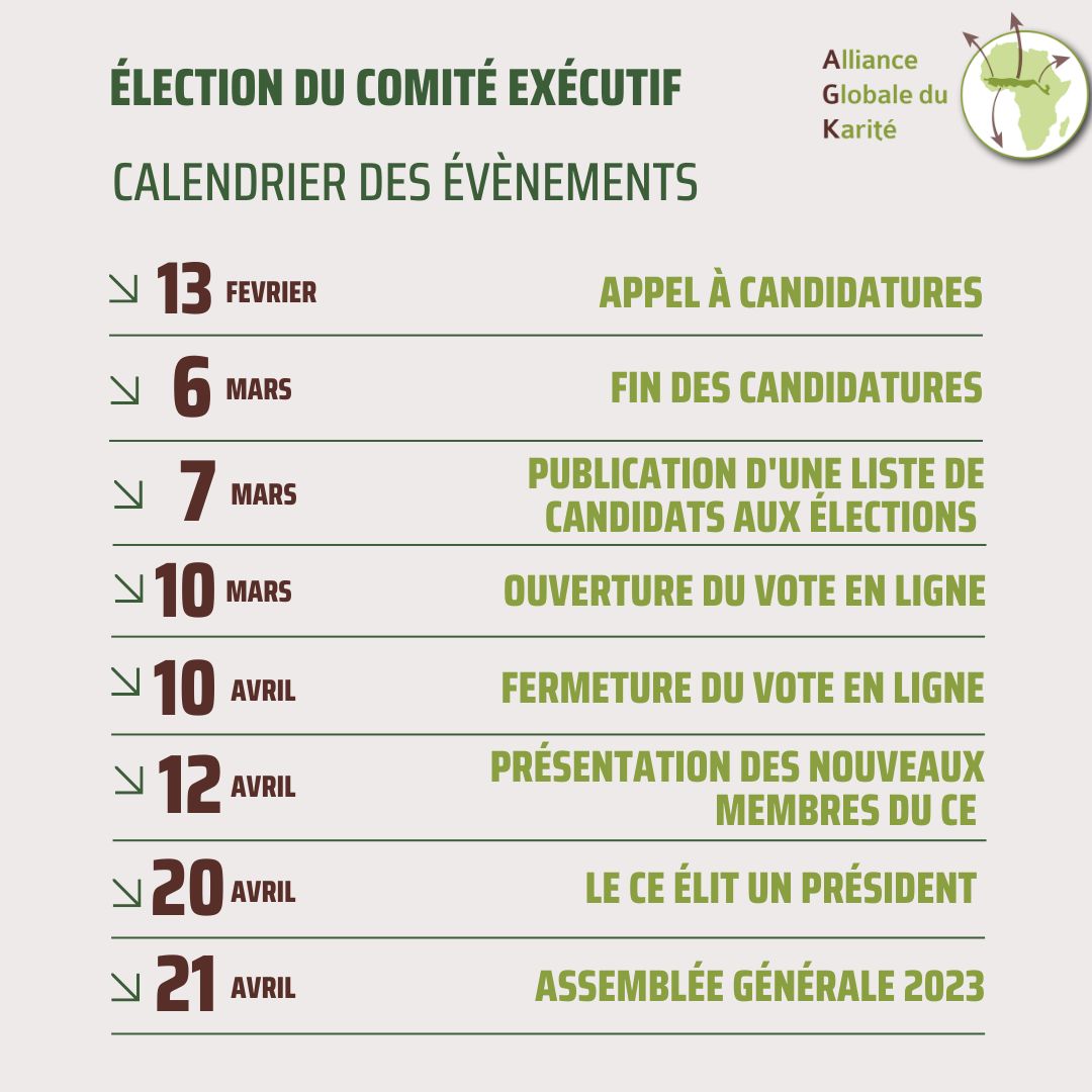 Nomination of Candidates for Executive Committee