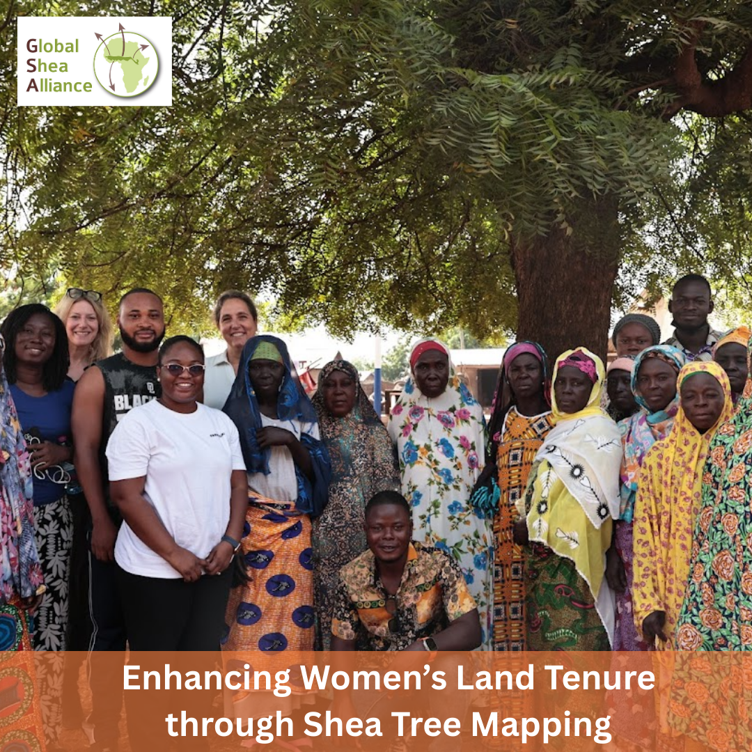 Enhancing Women’s Land Tenure through Shea Tree Mapping