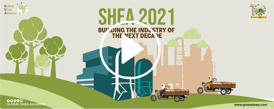Shea 2021 Conference recordings